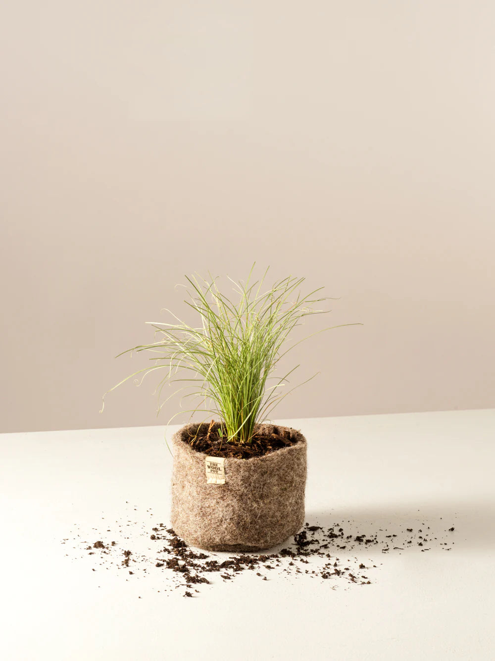 THE WOOL POT - 3 pack Small