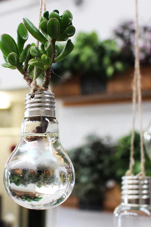 LIGHTBULB VASE
