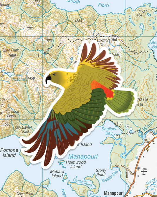 LOVE THY LAND - Kea - Sticker