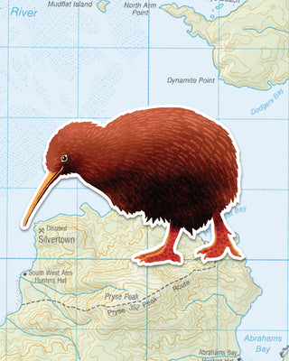 LOVE THY LAND - STICKER - KIWI