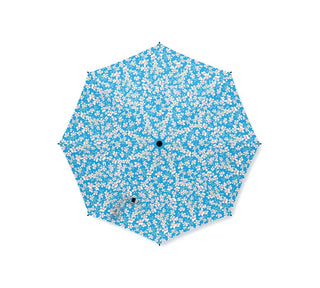UMBRELLA - SAXOFRAGE