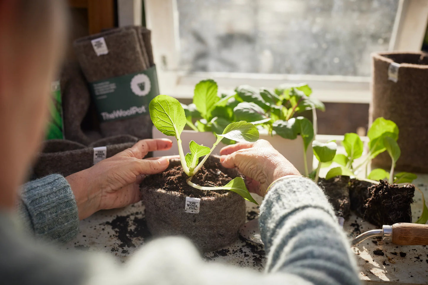 THE WOOL POT - 3 pack Small