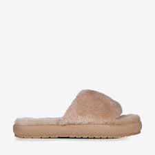 EMU - Mckay - Camel/Chameau